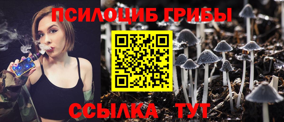 Касимов  что такое наркотик  Вход с VPN  Галлюциногенные грибы ЛСД 