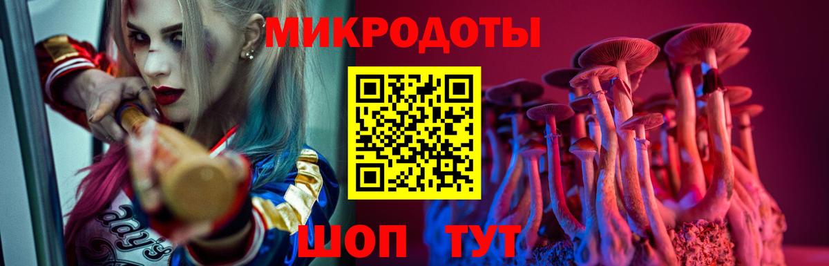 Псилоцибиновые грибы мицелий Касимов